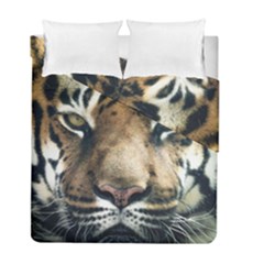 Tiger Bengal Stripes Eyes Close Duvet Cover Double Side (full/ Double Size) by BangZart