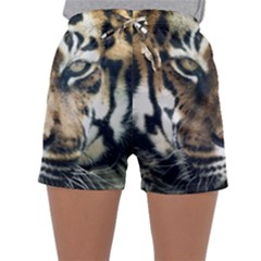 Tiger Bengal Stripes Eyes Close Sleepwear Shorts