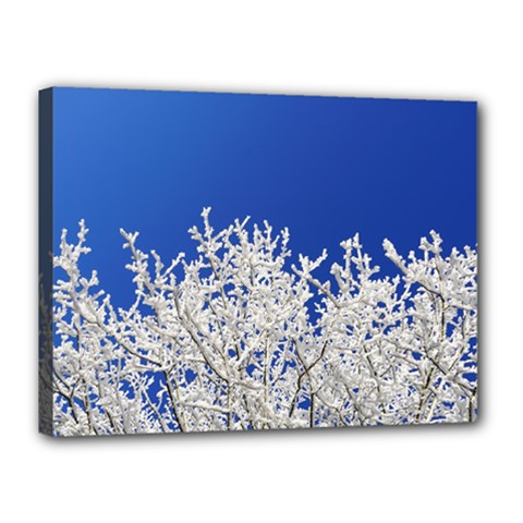 Crown Aesthetic Branches Hoarfrost Canvas 16  X 12  by BangZart