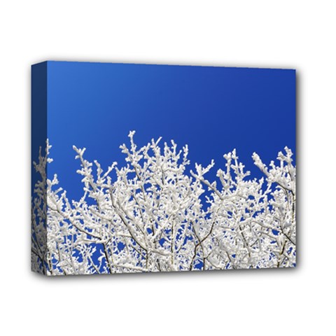 Crown Aesthetic Branches Hoarfrost Deluxe Canvas 14  X 11  by BangZart