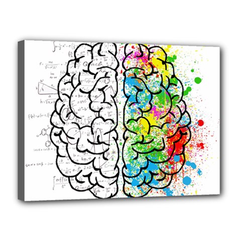 Brain Mind Psychology Idea Hearts Canvas 16  X 12  by BangZart