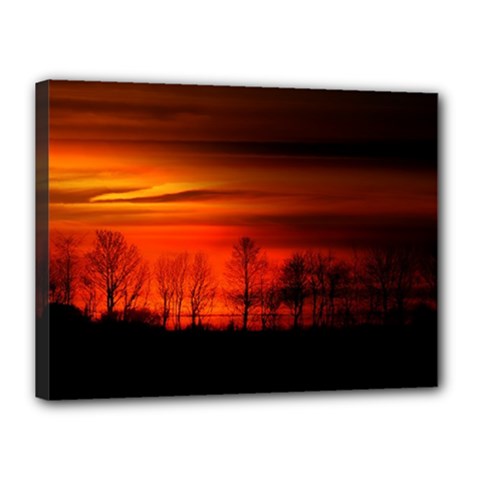 Tree Series Sun Orange Sunset Canvas 16  X 12  by BangZart