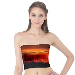 Tree Series Sun Orange Sunset Tube Top by BangZart