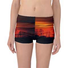 Tree Series Sun Orange Sunset Boyleg Bikini Bottoms by BangZart