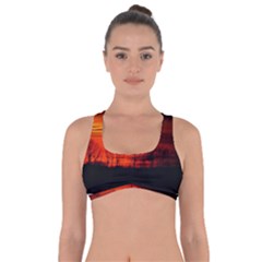 Tree Series Sun Orange Sunset Got No Strings Sports Bra by BangZart