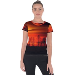 Tree Series Sun Orange Sunset Short Sleeve Sports Top  by BangZart