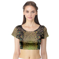 Peacock Feathers Wheel Plumage Short Sleeve Crop Top by BangZart