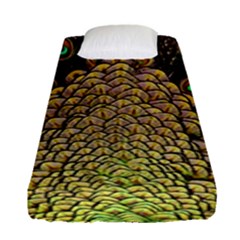 Peacock Feathers Wheel Plumage Fitted Sheet (single Size) by BangZart