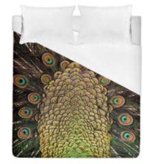 Peacock Feathers Wheel Plumage Duvet Cover (queen Size) by BangZart