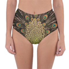 Peacock Feathers Wheel Plumage Reversible High-waist Bikini Bottoms by BangZart