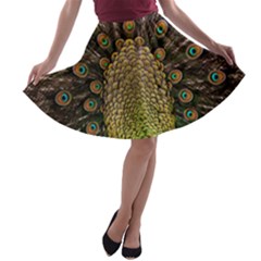 Peacock Feathers Wheel Plumage A-line Skater Skirt by BangZart