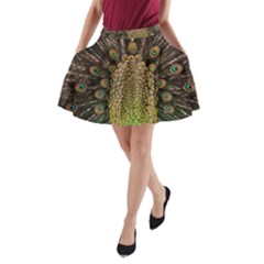 Peacock Feathers Wheel Plumage A-line Pocket Skirt by BangZart