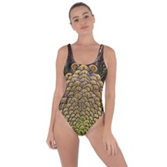 Peacock Feathers Wheel Plumage Bring Sexy Back Swimsuit by BangZart