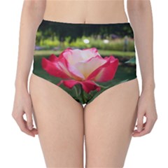 Roses 2 High-waist Bikini Bottoms by all7sins