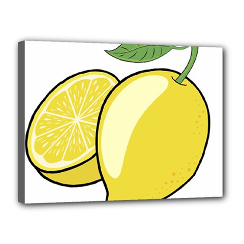 Lemon Fruit Green Yellow Citrus Canvas 16  X 12  by BangZart