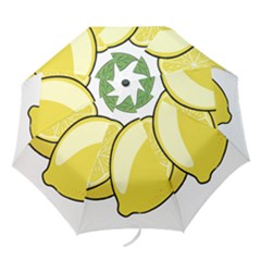 Lemon Fruit Green Yellow Citrus Folding Umbrellas by BangZart