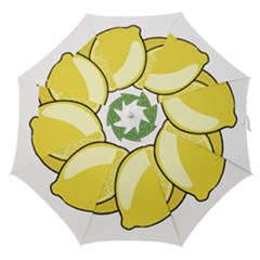 Lemon Fruit Green Yellow Citrus Straight Umbrellas by BangZart