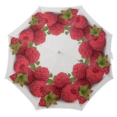 Fruit Healthy Vitamin Vegan Straight Umbrellas by BangZart