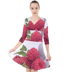 Fruit Healthy Vitamin Vegan Quarter Sleeve Front Wrap Dress	