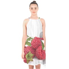 Fruit Healthy Vitamin Vegan Halter Collar Waist Tie Chiffon Dress