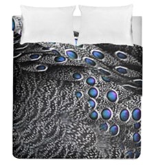 Feather Bird Bird Feather Nature Duvet Cover Double Side (queen Size) by BangZart