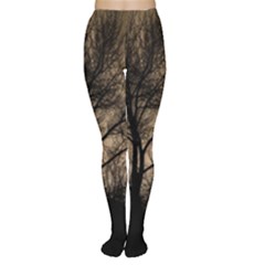 Tree Bushes Black Nature Landscape Women s Tights by BangZart