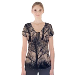 Tree Bushes Black Nature Landscape Short Sleeve Front Detail Top by BangZart