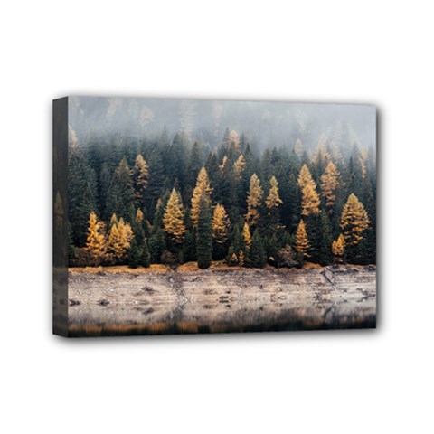 Trees Plants Nature Forests Lake Mini Canvas 7  X 5  by BangZart