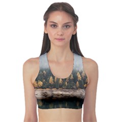 Trees Plants Nature Forests Lake Sports Bra by BangZart