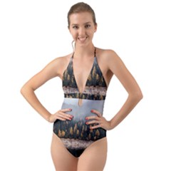 Trees Plants Nature Forests Lake Halter Cut-out One Piece Swimsuit