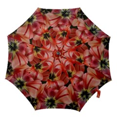 Tulips Flowers Spring Hook Handle Umbrellas (small) by BangZart