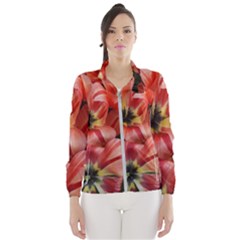 Tulips Flowers Spring Wind Breaker (women) by BangZart