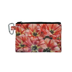 Tulips Flowers Spring Canvas Cosmetic Bag (small)