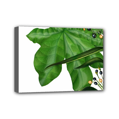 Plant Berry Leaves Green Flower Mini Canvas 7  X 5  by BangZart