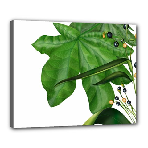 Plant Berry Leaves Green Flower Canvas 20  X 16  by BangZart