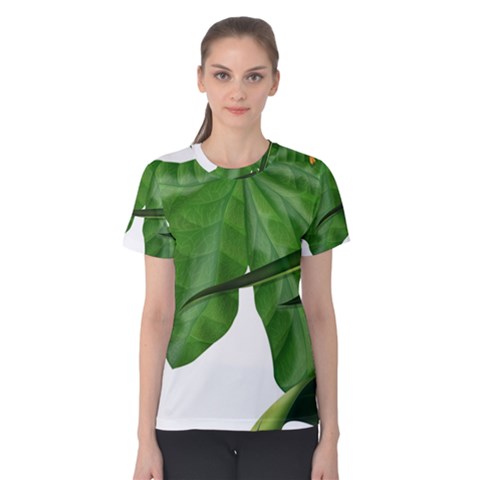 Plant Berry Leaves Green Flower Women s Cotton Tee by BangZart