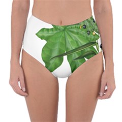 Plant Berry Leaves Green Flower Reversible High-waist Bikini Bottoms by BangZart