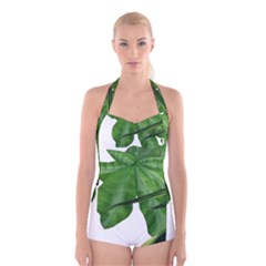 Plant Berry Leaves Green Flower Boyleg Halter Swimsuit  by BangZart