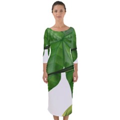 Plant Berry Leaves Green Flower Quarter Sleeve Midi Bodycon Dress