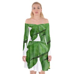 Plant Berry Leaves Green Flower Off Shoulder Skater Dress by BangZart