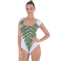 Boating Nature Green Autumn Short Sleeve Leotard  by BangZart