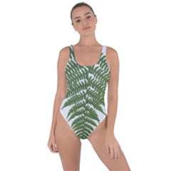 Boating Nature Green Autumn Bring Sexy Back Swimsuit by BangZart