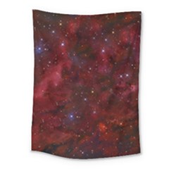 Abstract Fantasy Color Colorful Medium Tapestry