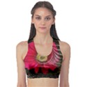 Fantasy Flower Fractal Blossom Sports Bra View1