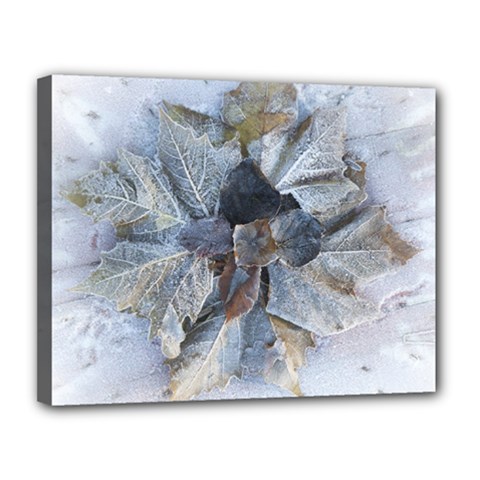 Winter Frost Ice Sheet Leaves Canvas 14  X 11 