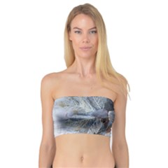 Winter Frost Ice Sheet Leaves Bandeau Top