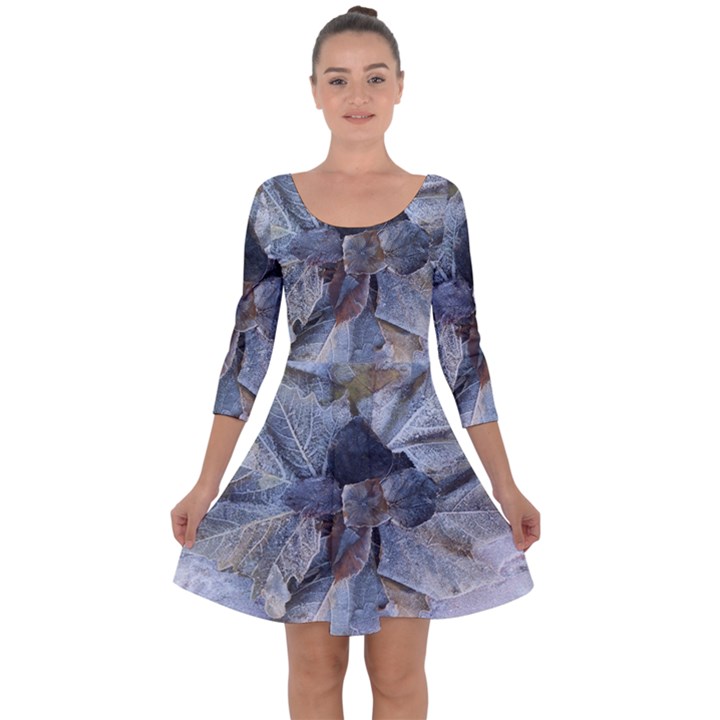 Winter Frost Ice Sheet Leaves Quarter Sleeve Skater Dress