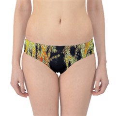 Artistic Effect Fractal Forest Background Hipster Bikini Bottoms