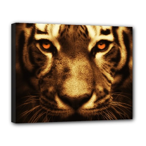 Cat Tiger Animal Wildlife Wild Canvas 14  X 11  by Celenk