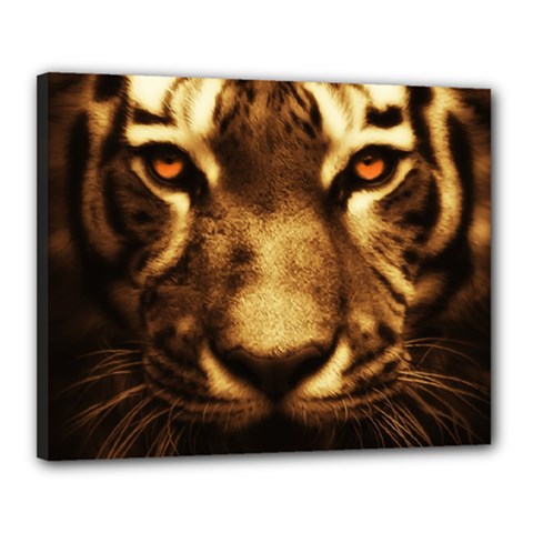 Cat Tiger Animal Wildlife Wild Canvas 20  X 16  by Celenk